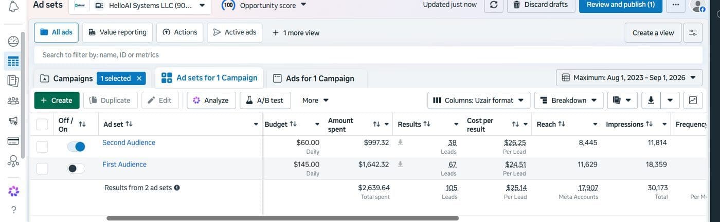 Meta Ads Manager ad set detail showing the best-performing campaign at 105 leads